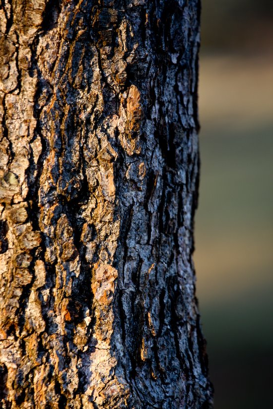 [09Mar06_park_15.jpg]