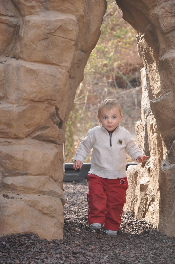 [3447596659_04b7ebb0e5_b.jpg]