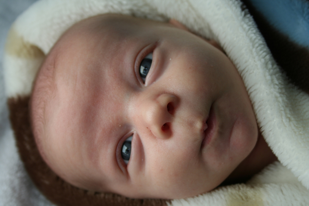 [3469247846_b8495e156b_b.jpg]