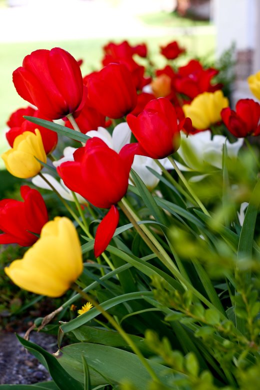 [09May05_trip_127.jpg]