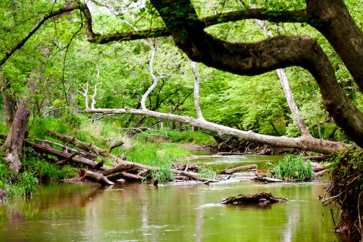 [09May13_hike_63.jpg]