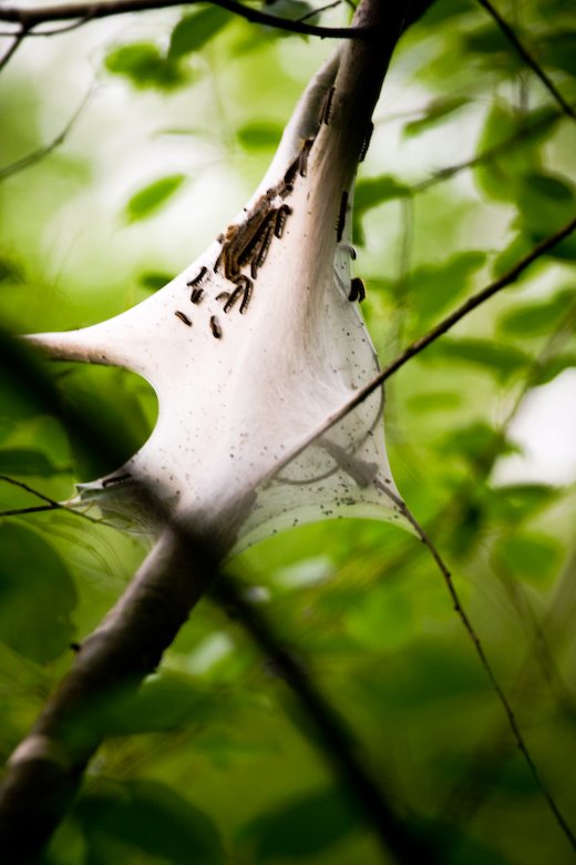 [09May13_hike_18.jpg]