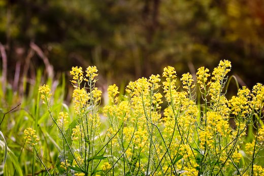 [09May13_hike_12.jpg]