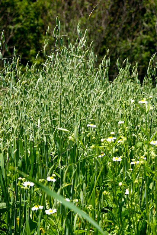 [09Jun24_moutainside_74.jpg]