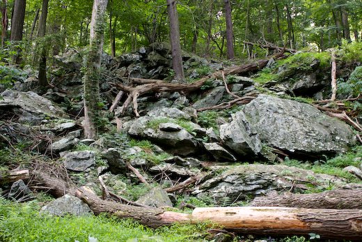 [09Jul21_Cunningham_25.jpg]