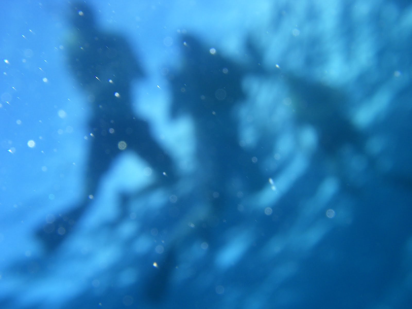 [cruise+2007+600.JPG]