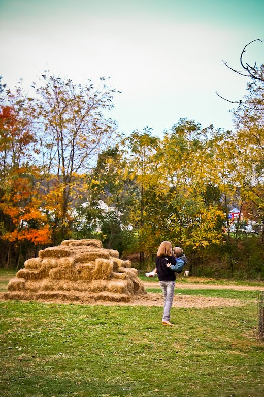 [09Oct26_pumpkins_41.jpg]