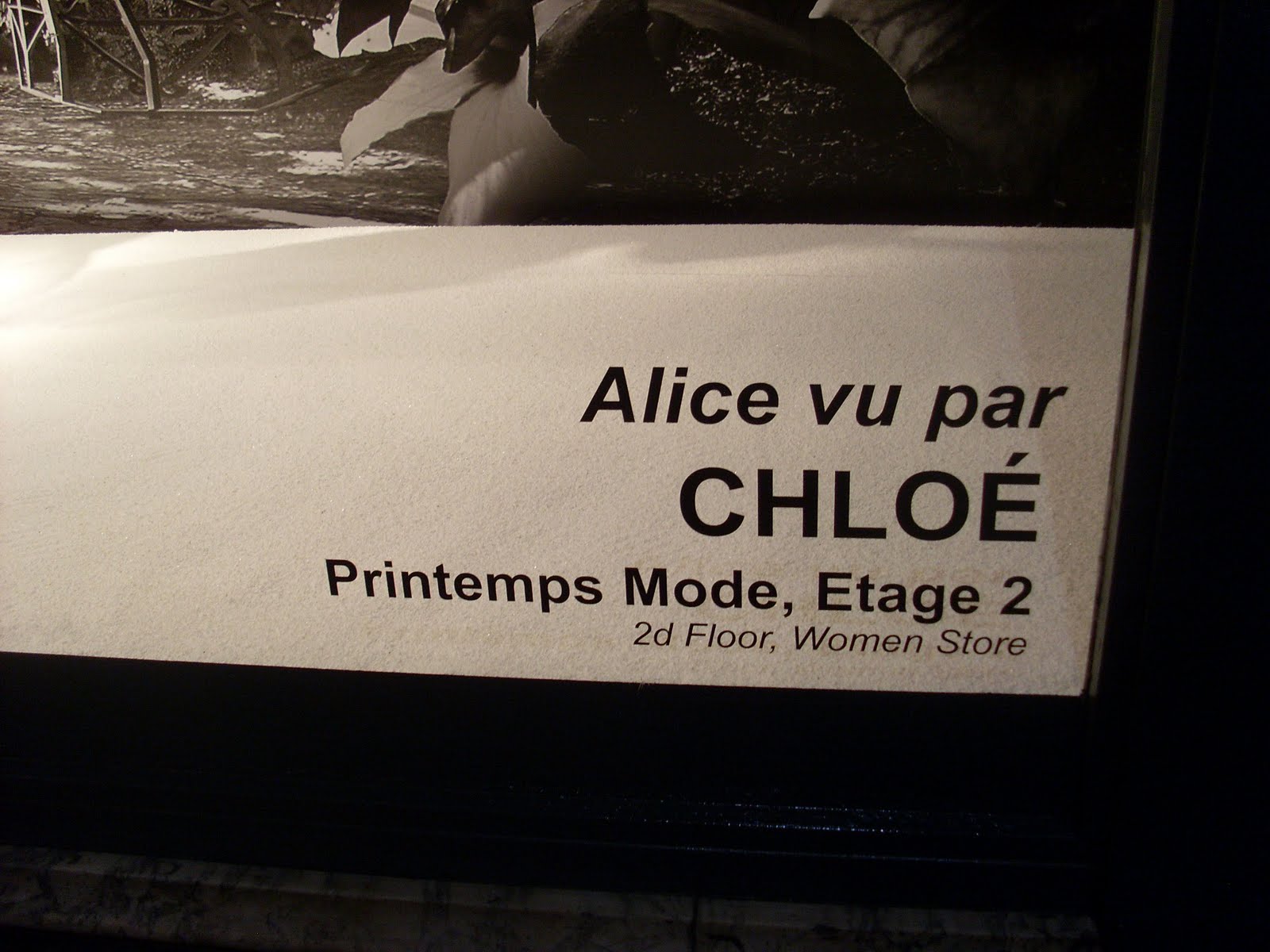 [alice-4jpg]