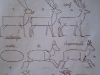 dessins,astuces,pour debutants DESSINER UN CERFS