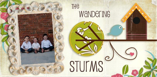 The Wandering Sturms