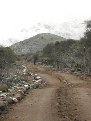 "SANAVIRONES CABAÑAS DE MONTAÑA"LAS RABONAS,NONO,VALLE TRASLASIERRA