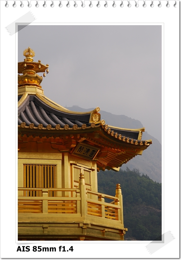 [DSC_4705.JPG]