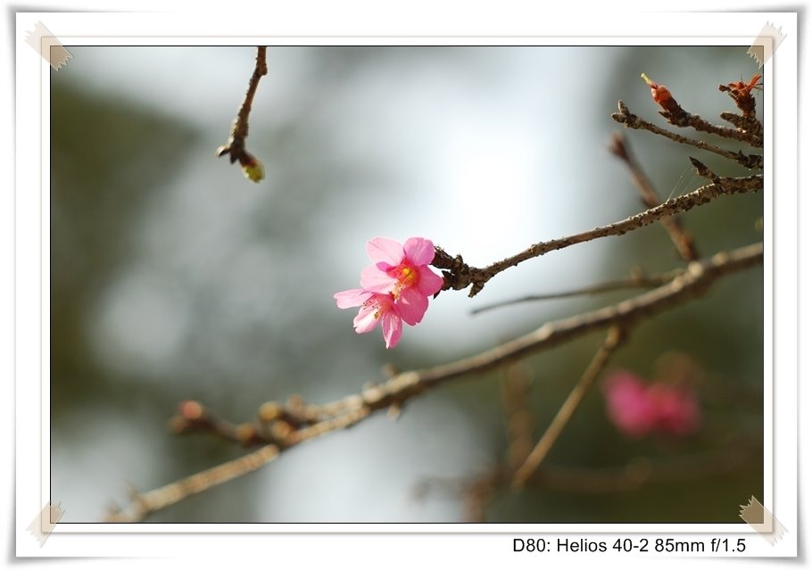 [DSC_8985.JPG]
