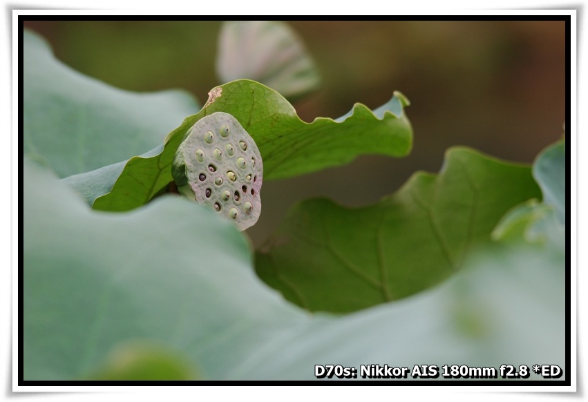 [DSC_2453.JPG]