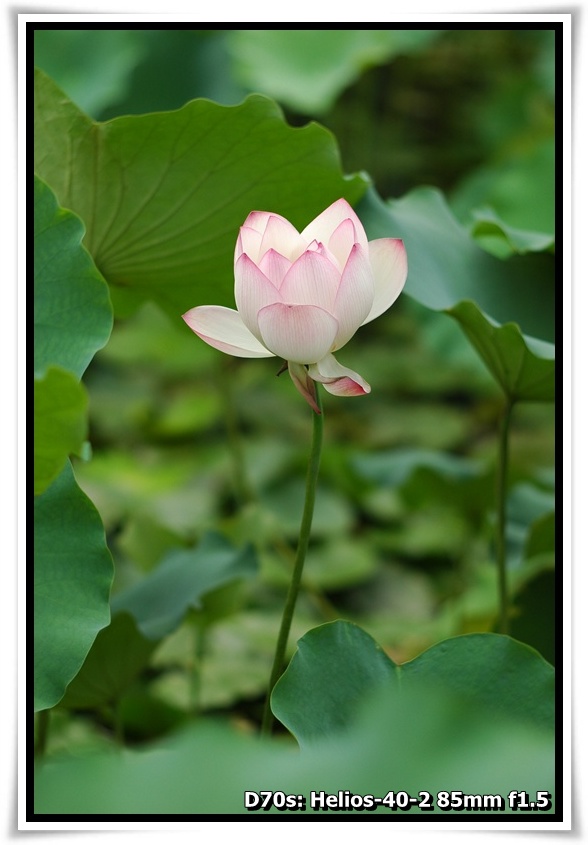 [DSC_3552.JPG]