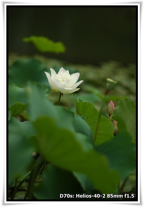 [DSC_3540.JPG]