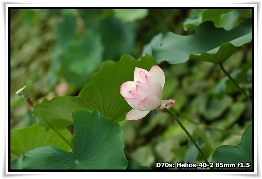 [DSC_3535.JPG]