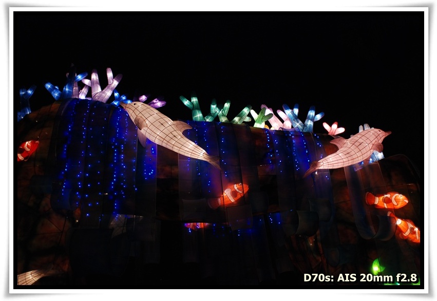 [DSC_3547.JPG]