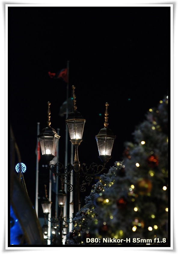 [DSC_4962.JPG]