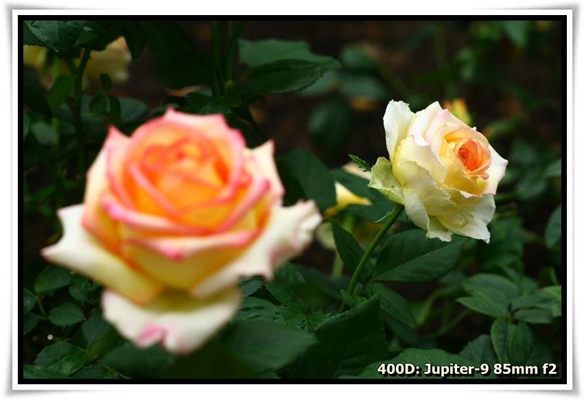 [IMG_6683.JPG]