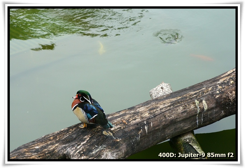 [IMG_6679.JPG]