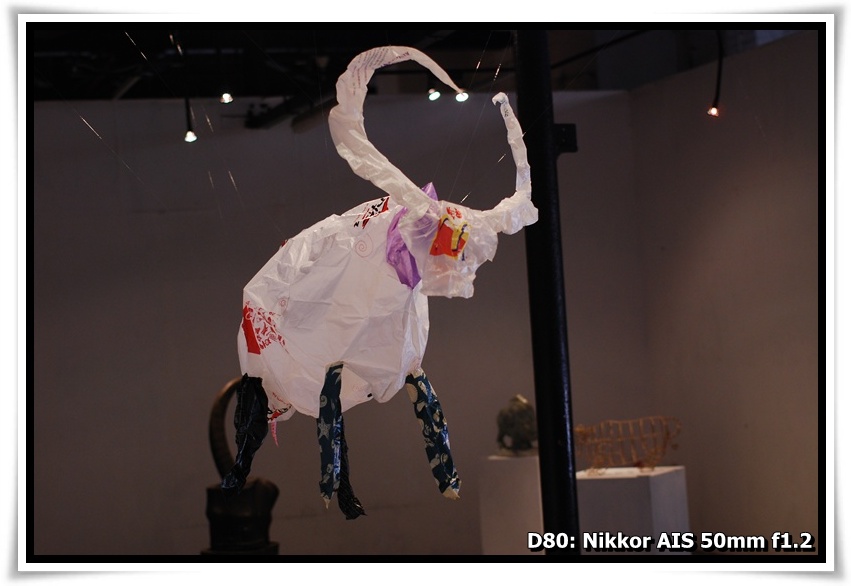 [DSC_2354.JPG]