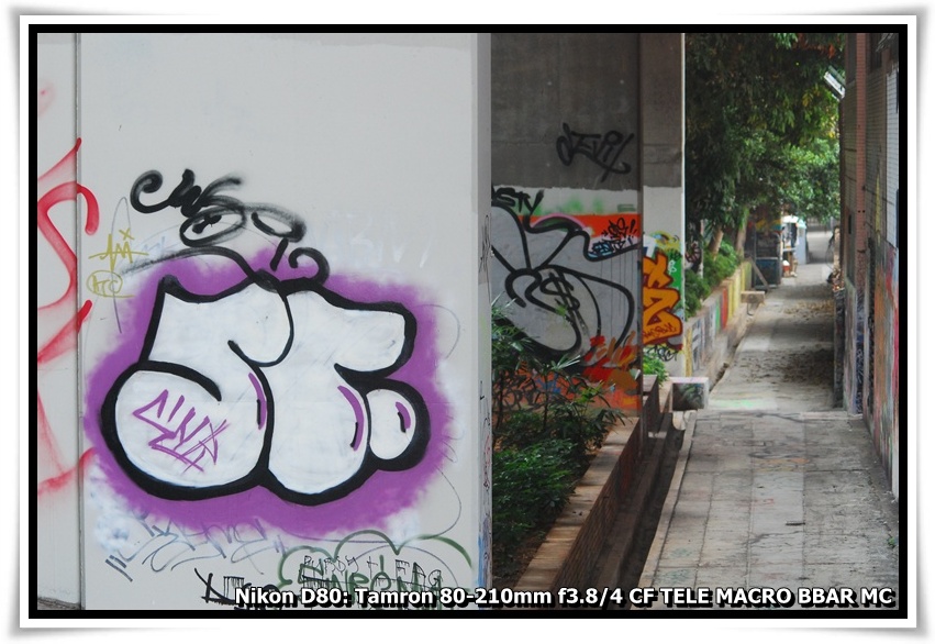 [DSC_9324.JPG]