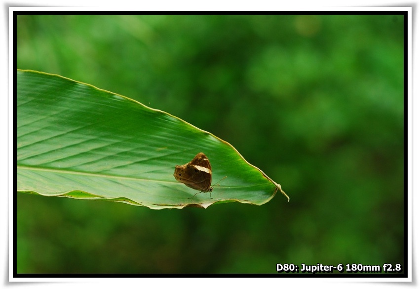 [DSC_3047.JPG]