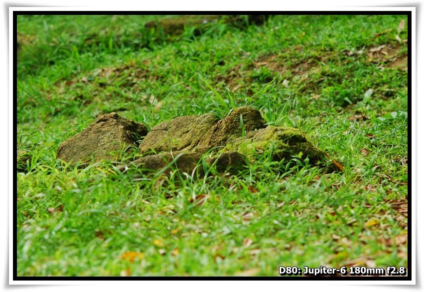 [DSC_3044.JPG]