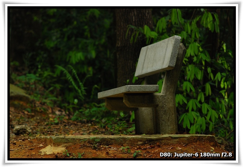 [DSC_3031.JPG]
