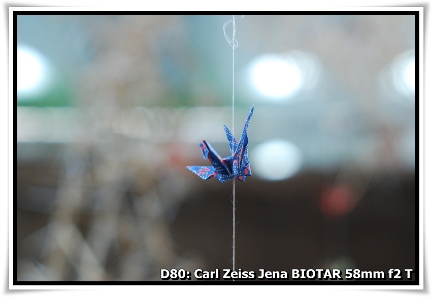[DSC_8493.JPG]