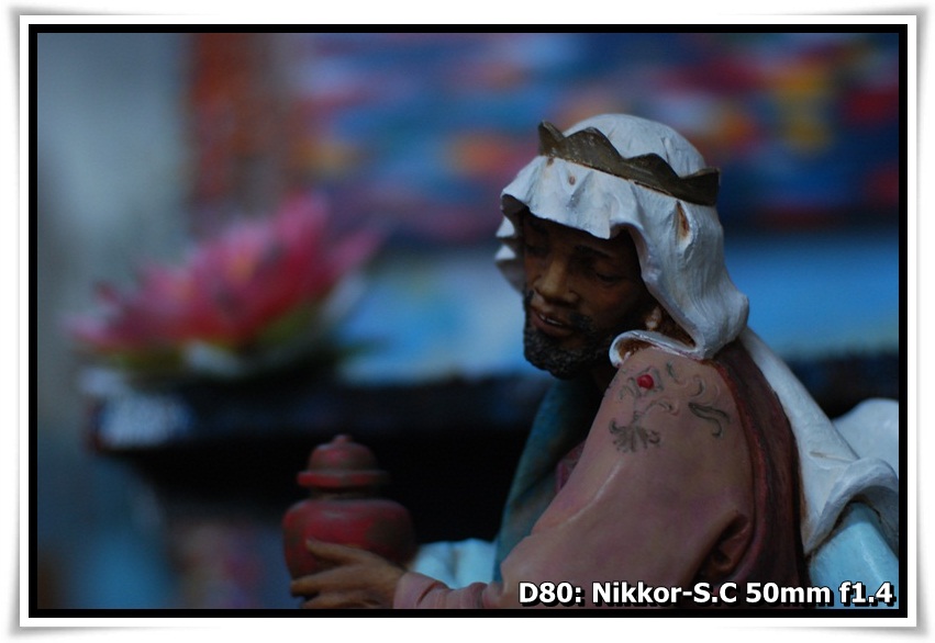 [DSC_9454.JPG]