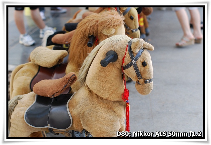[DSC_9950.JPG]