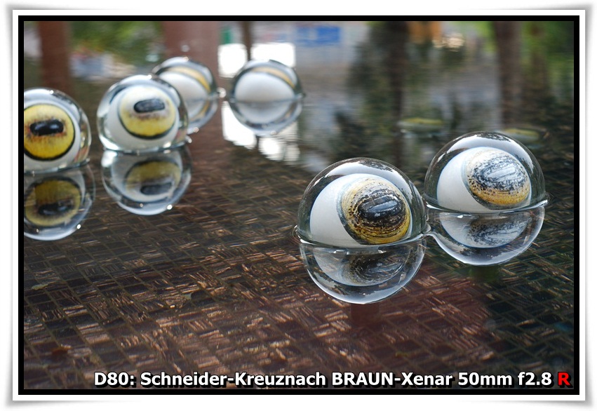 [DSC_0778.JPG]