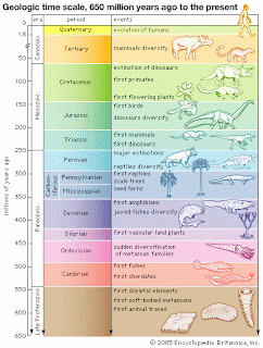 Earth Science/ Mrs. Giron: Sample Geologic Timelines