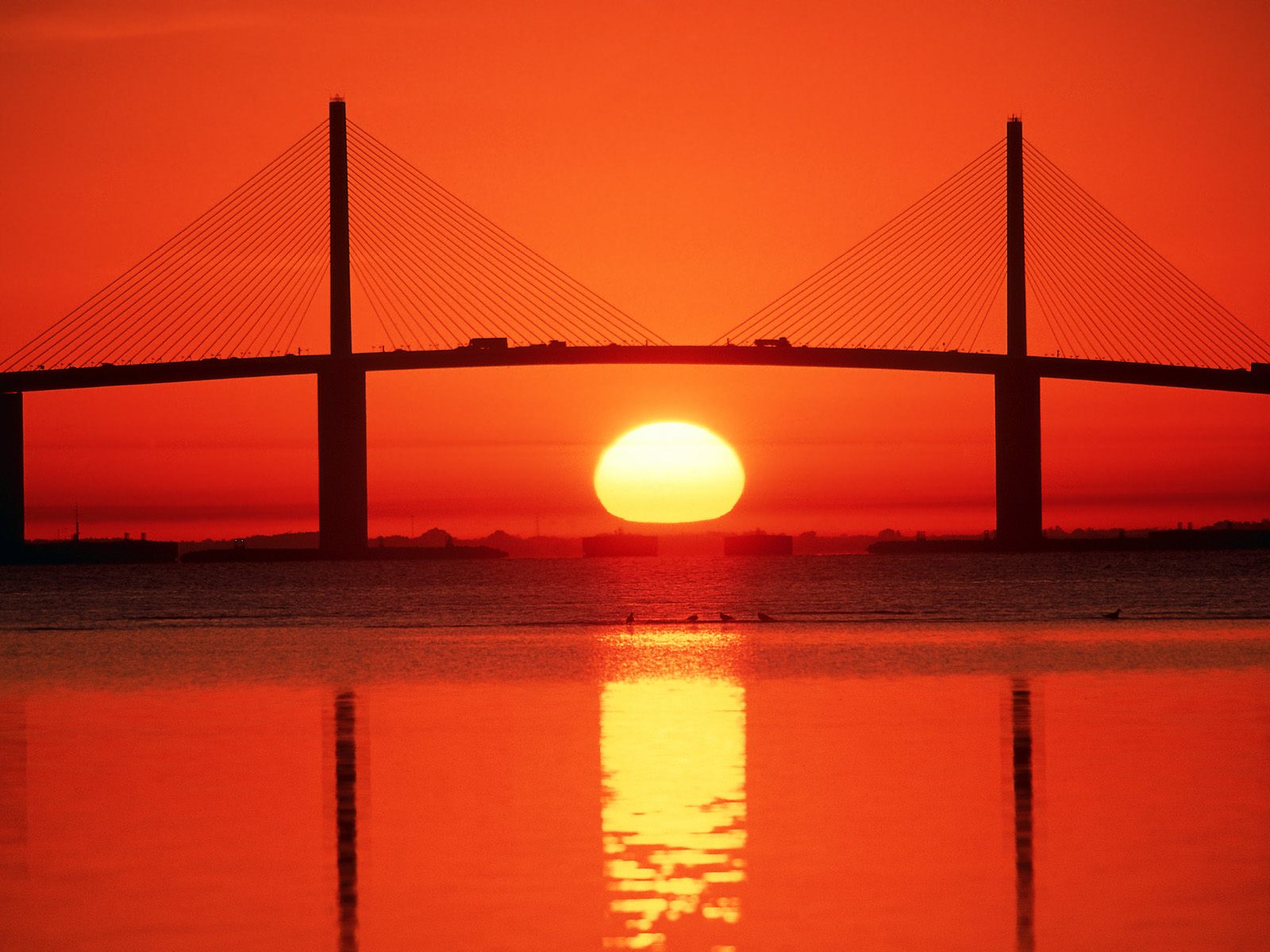 [Sunshine_Skyway_Bridge_Tampa_Bay_Florida.jpg]
