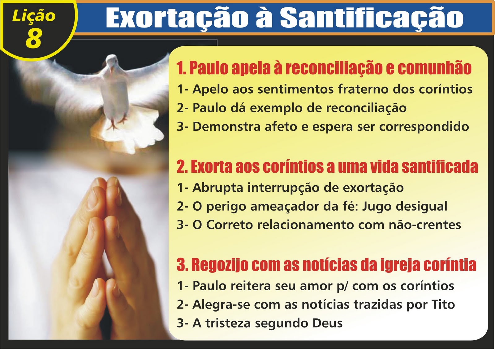 [LIÇÃO+8.jpg]