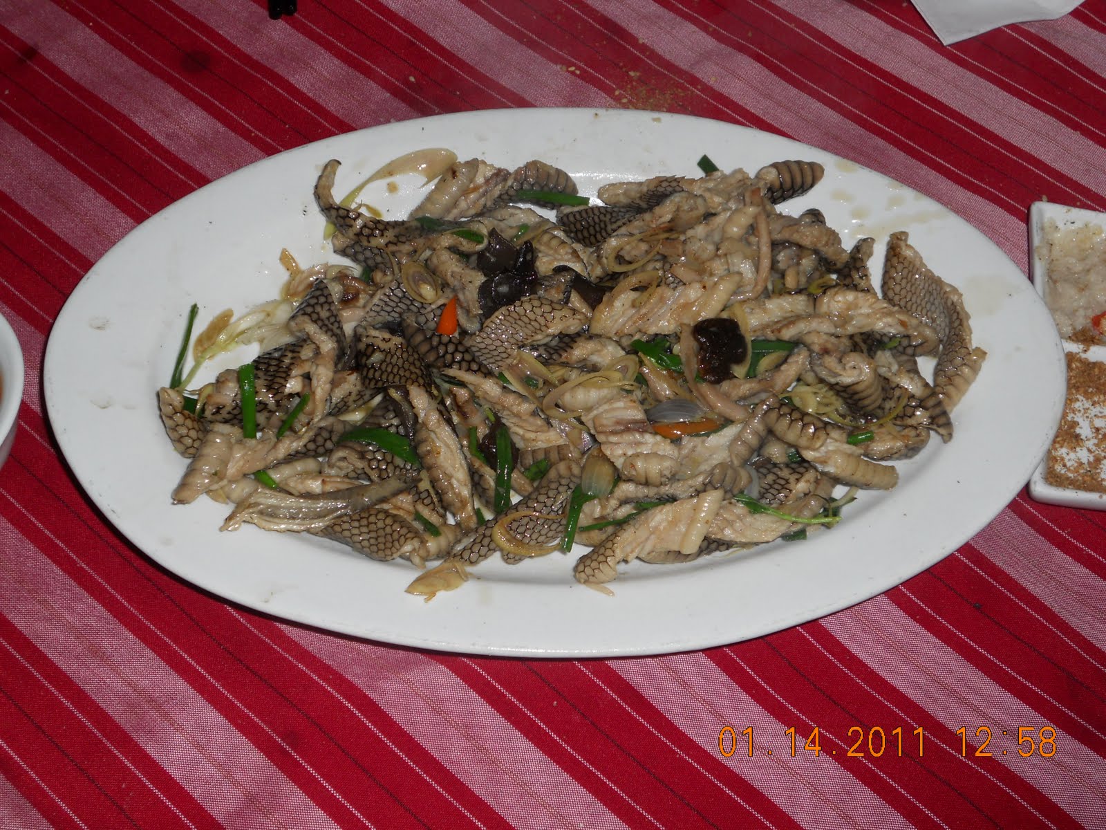 Experience in Vietnam Snake Meat