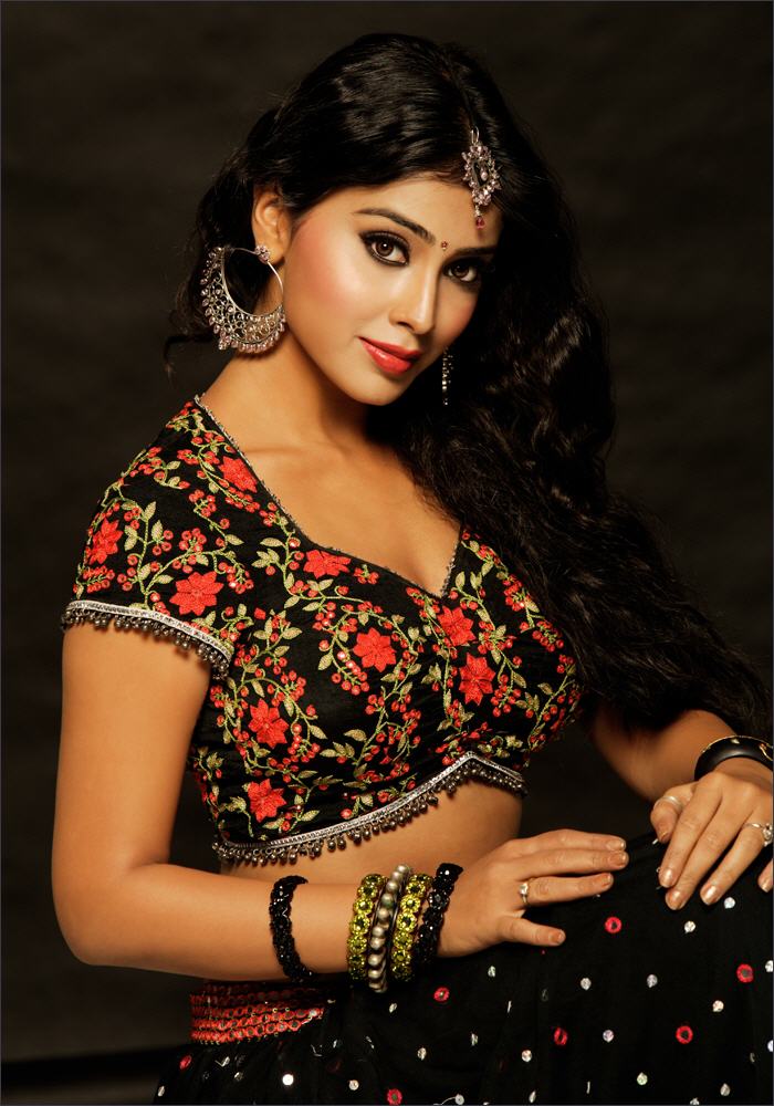 Hot Masala Actress Of India Shriya Hottest Pics Telugu