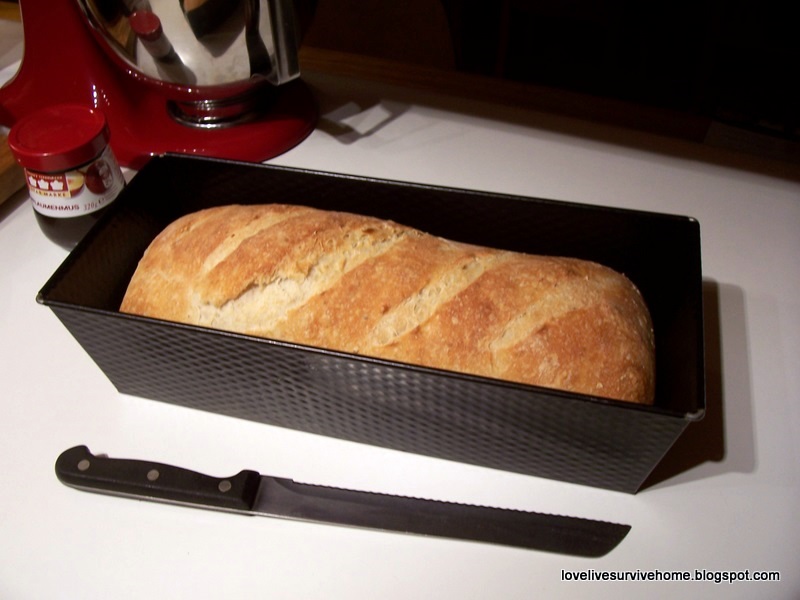 [My+Homemade+Bread-1.JPG]