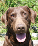 Our Bandit Jessie Jane
