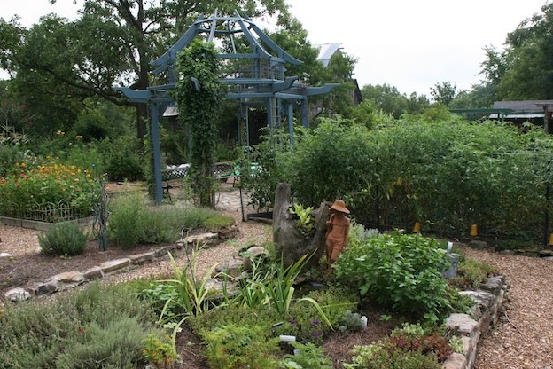 Jim Long's Garden: July 2010