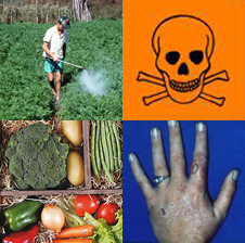 [agrotoxicos.jpg]