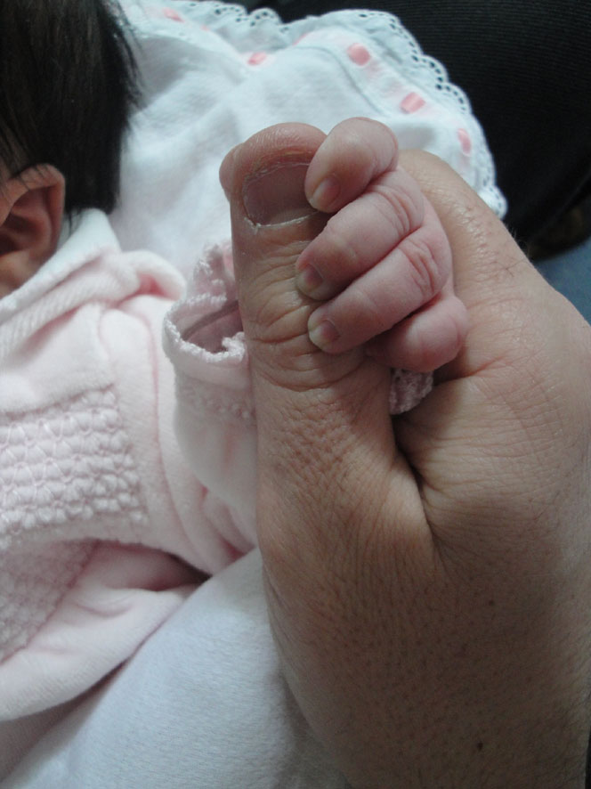 [Alice+Lança+Sobreiro.JPG]