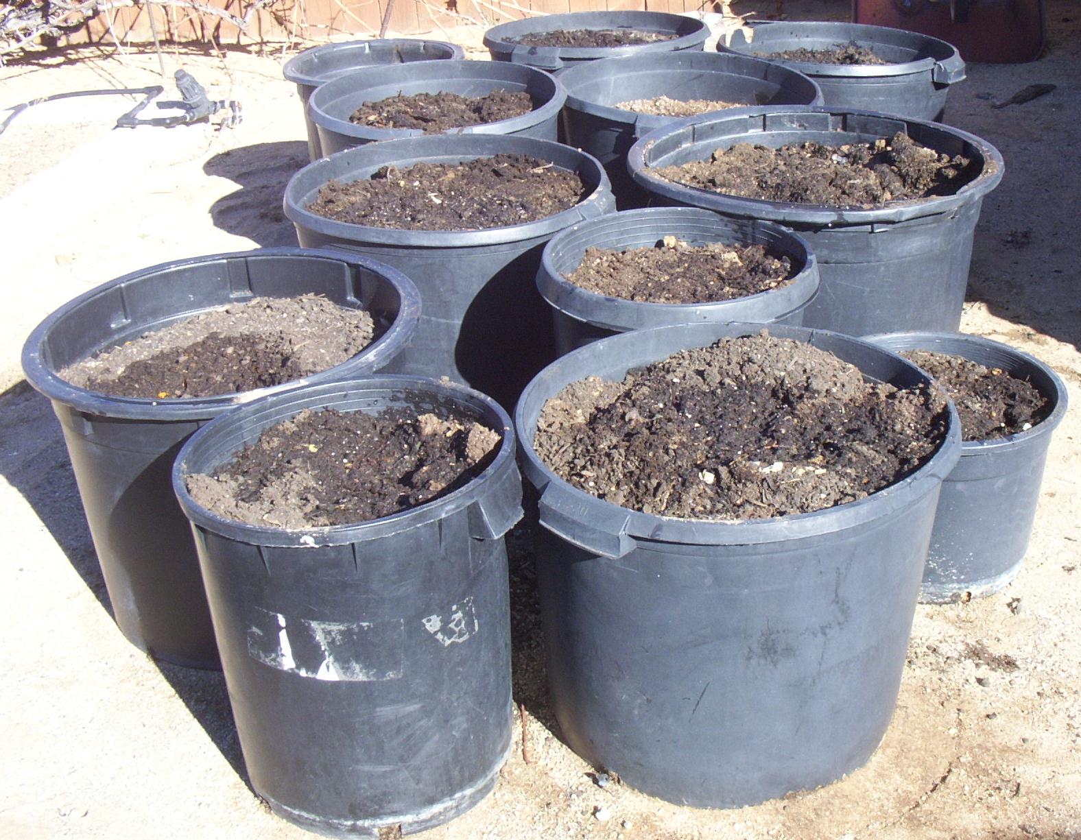 How Does My Garden Grow Compost Buckets