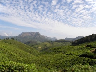 munnar