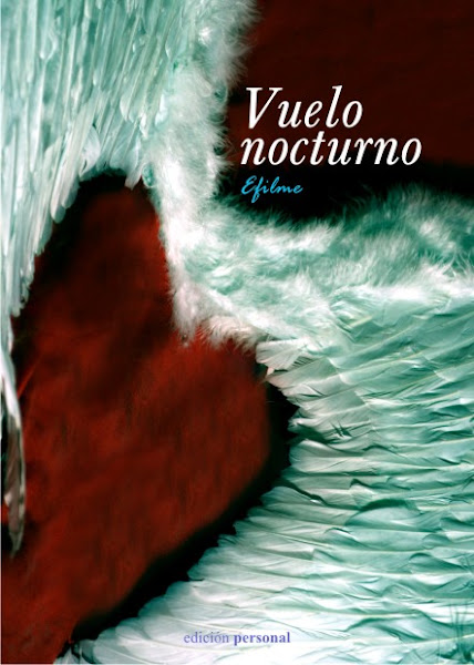 Vuelo nocturno