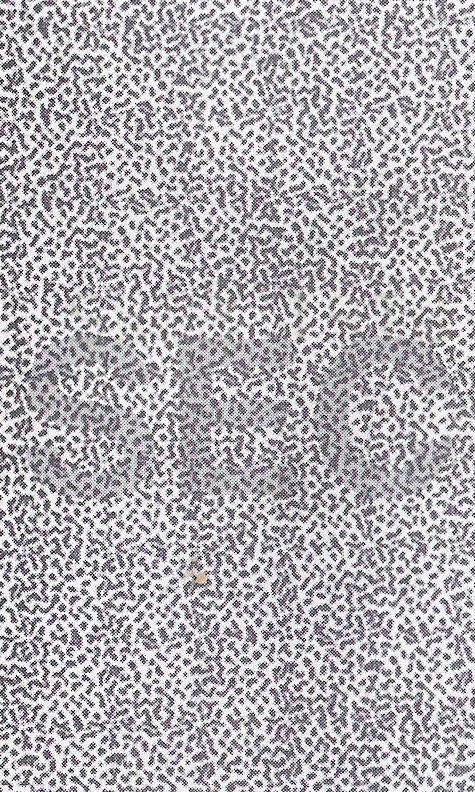 Cctv camera essay