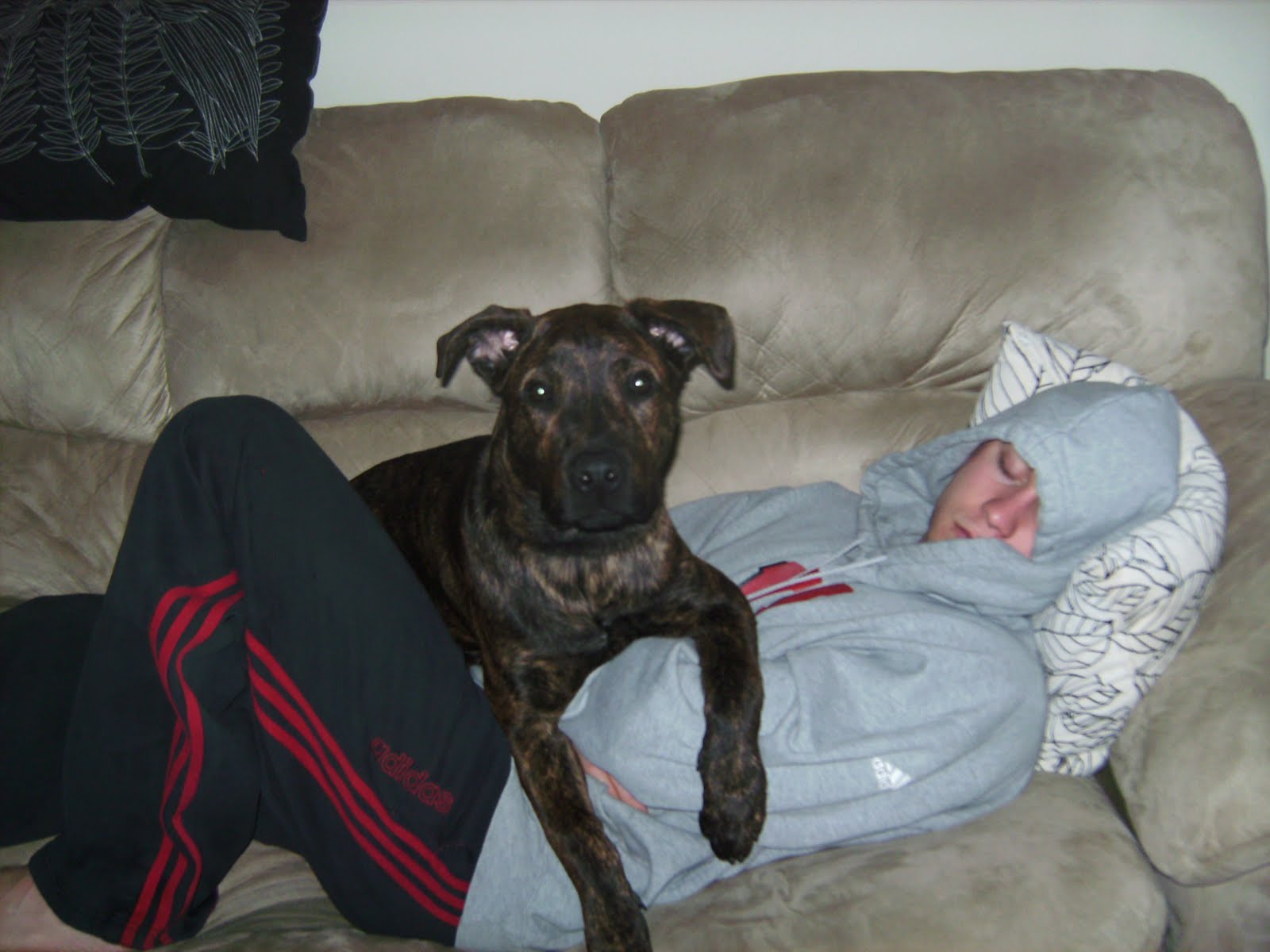 [February+2010+018.jpg]