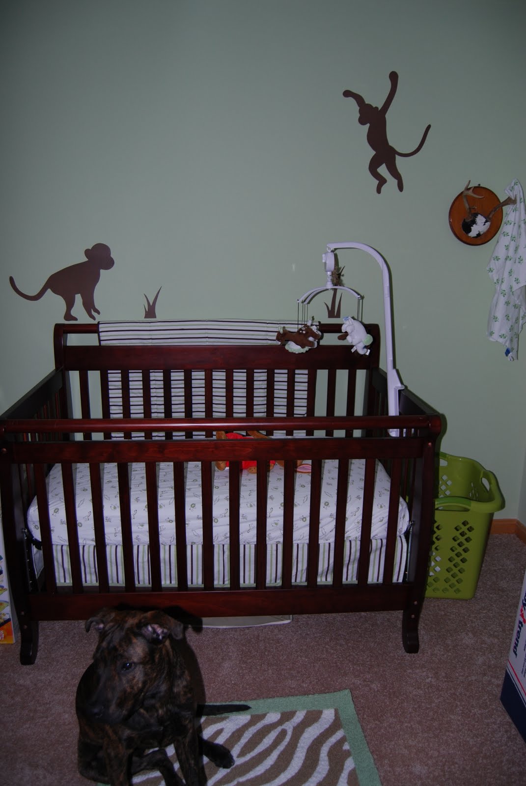 [February+2010+031.jpg]